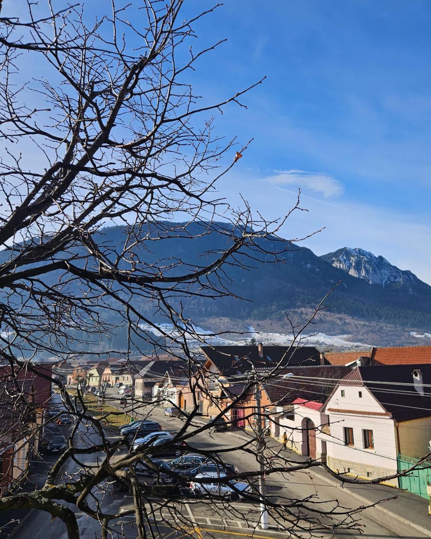 Apartment Zarnesti City Centre Vmp Free Parking Bagian luar foto
